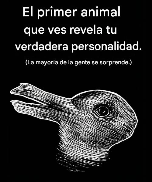 678484390 122367111182195669 4244720171730554924 n