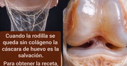 WhatsApp Image 2026 02 25 at 04.27.06