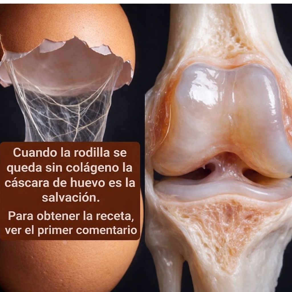 WhatsApp Image 2026 02 25 at 04.27.06