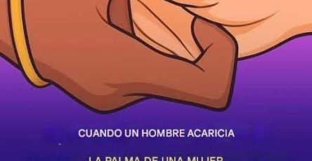 WhatsApp Image 2026 04 13 at 22.03.20