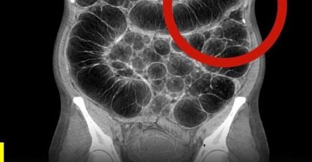 WhatsApp Image 2026 04 19 at 16.22.35