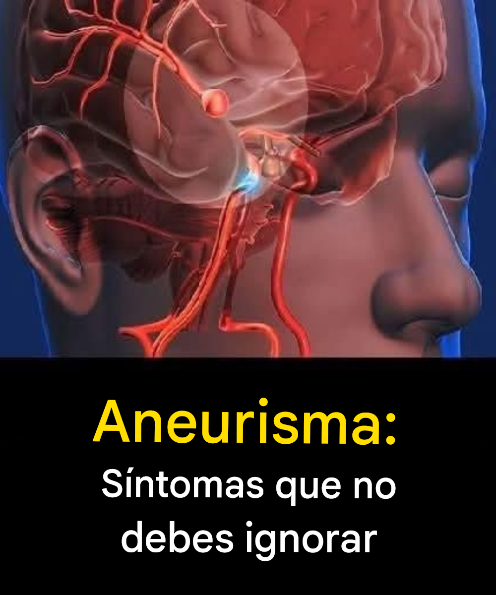 Translated image es 2026 04 22T085112.139 (1)