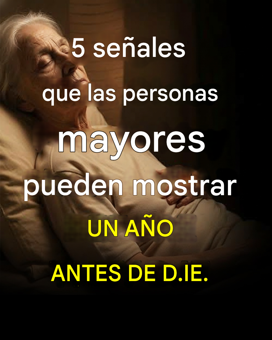 3cdaf21d ccb3 40b8 9793 1d64015ec2a0