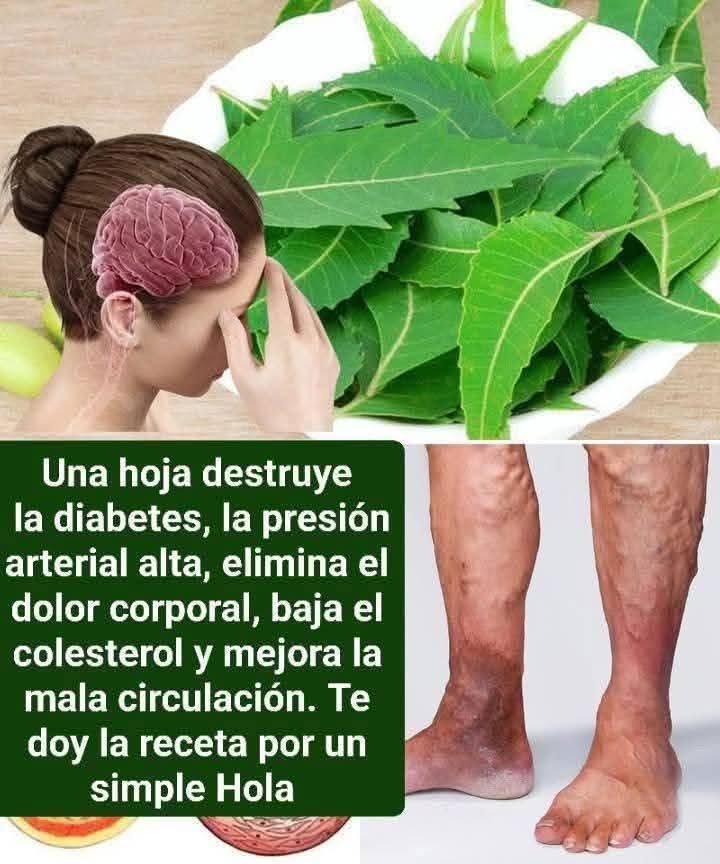 WhatsApp Image 2026 04 01 at 14.00.57