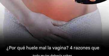 Telechargement 4