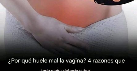 Telechargement 4