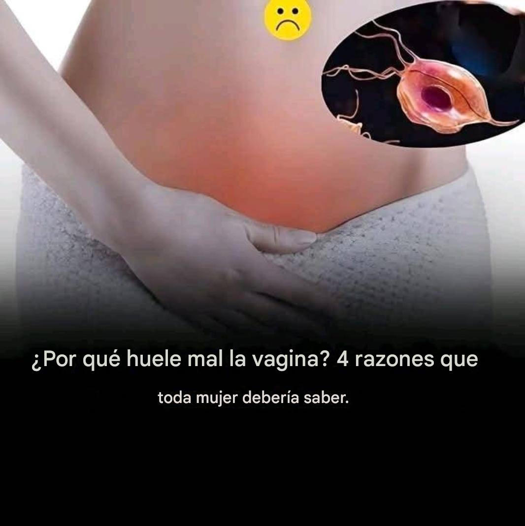 Telechargement 4