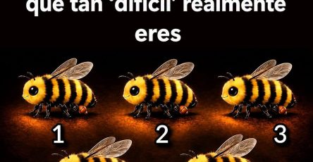 769007894 1689798908764124 172374666278069650 n