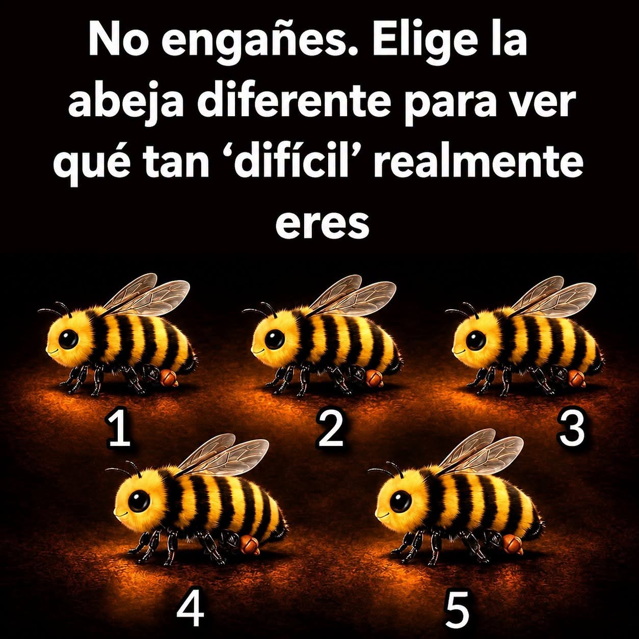 769007894 1689798908764124 172374666278069650 n